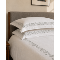 Read Bonsoir of London Reviews